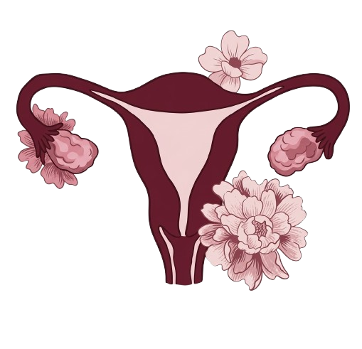 Bella Feminidad Uterina